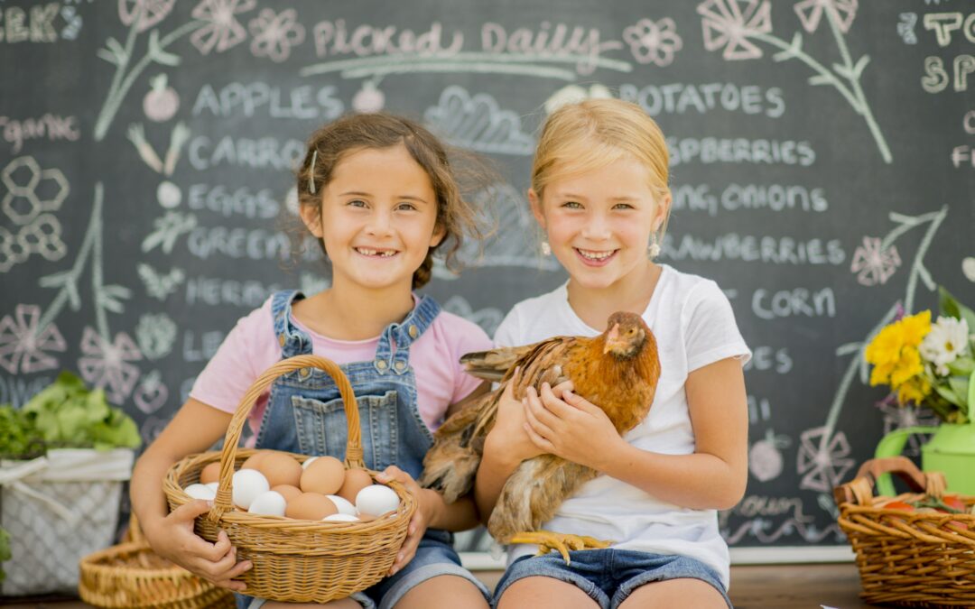 Mission + Guiding Principles