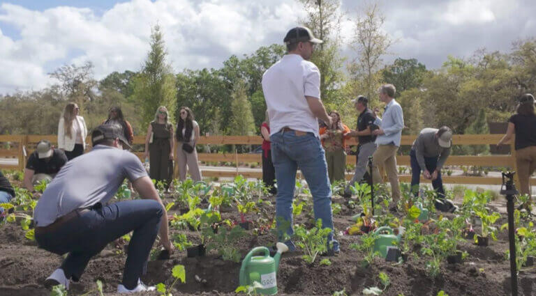 A fenced community garden with neat rows of crops sits beside a small wooden shed. People are gathered near the shed, and trees and a parking lot are visible in the background under a partly cloudy sky.