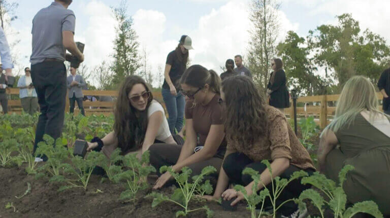 A group of people work together in a garden, planting vegetables in raised soil beds under a partly cloudy sky. Green watering cans are scattered around. Some people kneel to plant, while others stand and converse near a wooden fence.