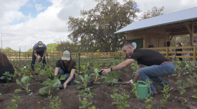 Several people are working in a vegetable garden, planting seedlings in rows of soil. A man waters the plants with a green watering can, while another person kneels nearby. A wooden shed and trees are visible in the background.