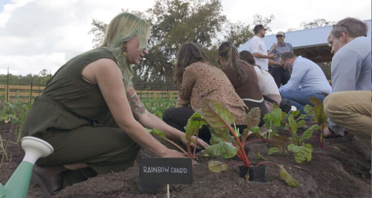 Several people are gardening outdoors, planting rainbow chard in soil. A woman is in the foreground, kneeling and working with the plants. A sign labels the rainbow chard in the garden bed.
