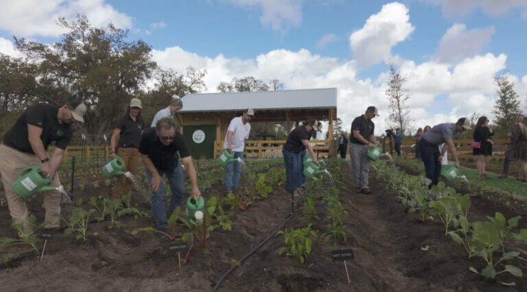 A group of people water plants in a community garden, each holding a green watering can. A wooden structure and trees are in the background under a partly cloudy sky.