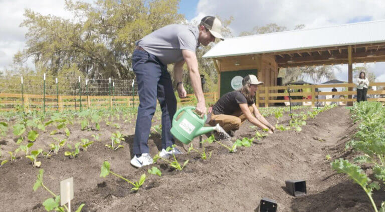 Two people tend to a vegetable garden; one waters young plants with a green watering can while the other crouches to work the soil. A wooden shed and fence are visible in the background under a partly cloudy sky.