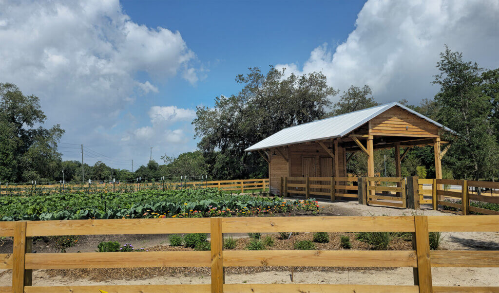 A wide view of a wooden farm stand overlooking a flourishing vegetable garden, framed by a wooden fence, mature oak trees, and a bright blue sky with scattered clouds.