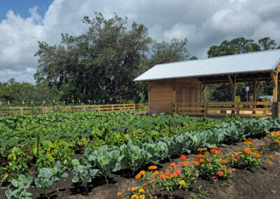 A thriving community garden with rows of leafy green vegetables and colorful flowers surrounding a rustic wooden farm stand beneath a bright sky with large clouds.