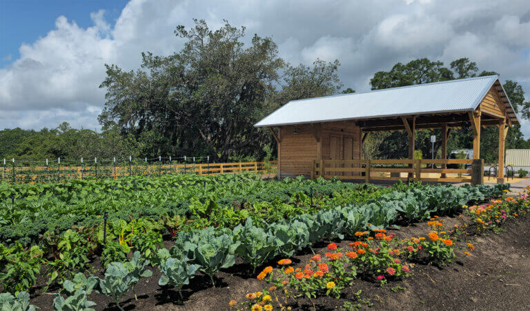 A thriving community garden with rows of leafy green vegetables and colorful flowers surrounding a rustic wooden farm stand beneath a bright sky with large clouds.