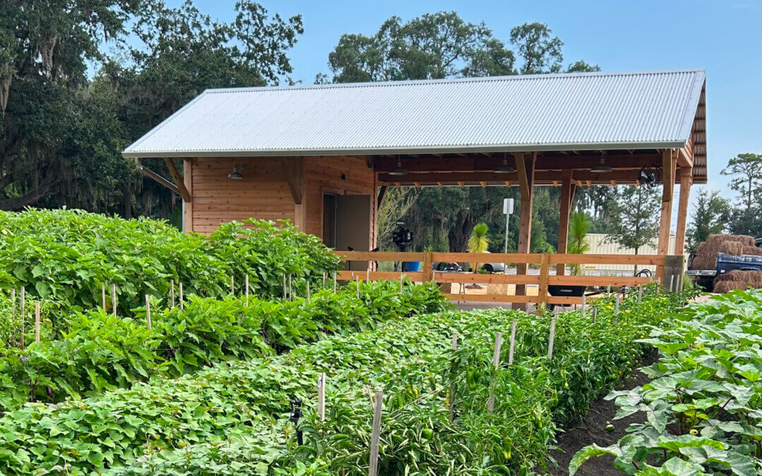 In the News: The Grow, Orlando’s first ‘agrihood’